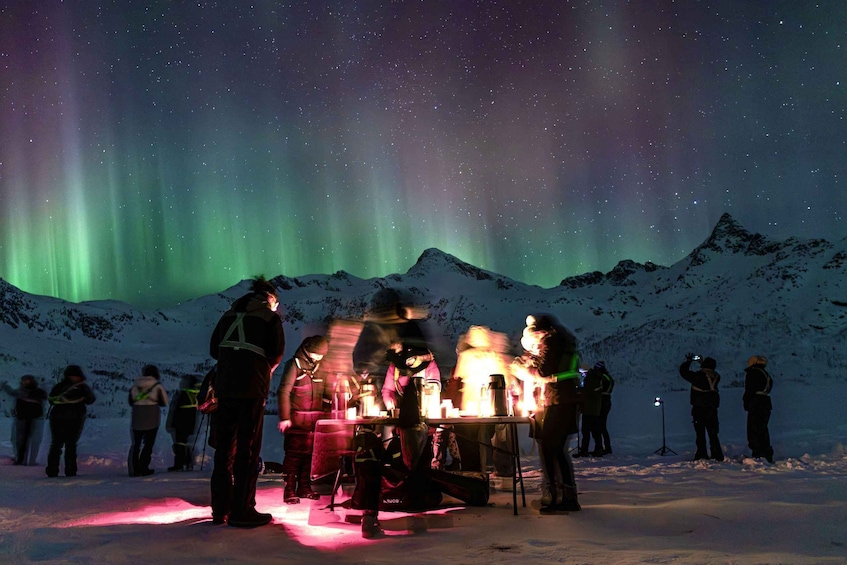 Picture 3 for Activity Tromsø: Northern Lights Expedition Tour by bus + Pro Photos 4