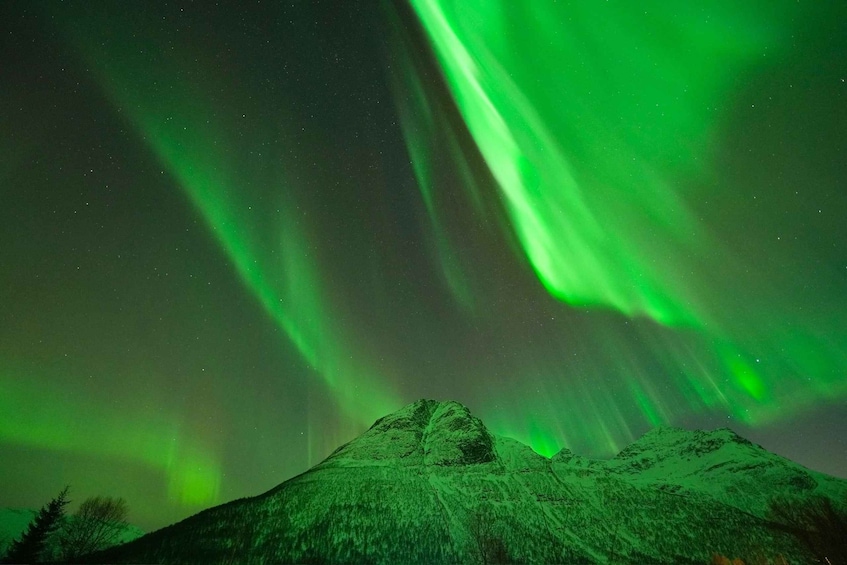 Picture 2 for Activity Tromsø: Northern Lights Expedition Tour by bus + Pro Photos 2