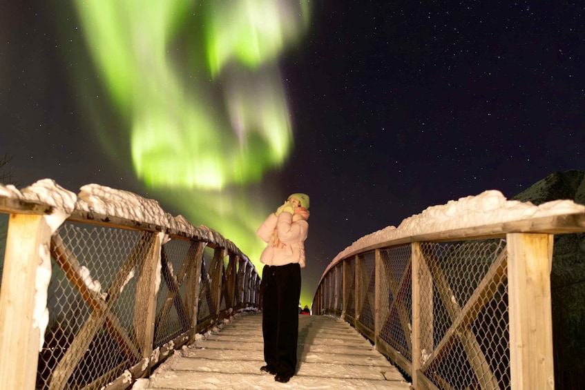 Picture 5 for Activity Tromsø: Northern Lights Expedition Tour by bus + Pro Photos 3