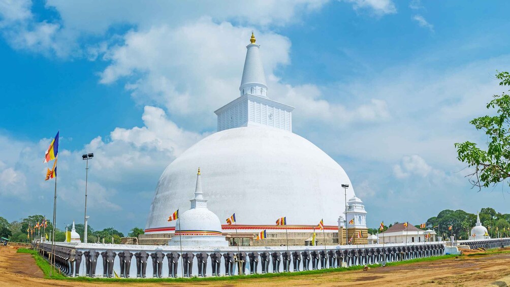 Picture 8 for Activity Day trip to UNESCO city Anuradhapura from Colombo 4