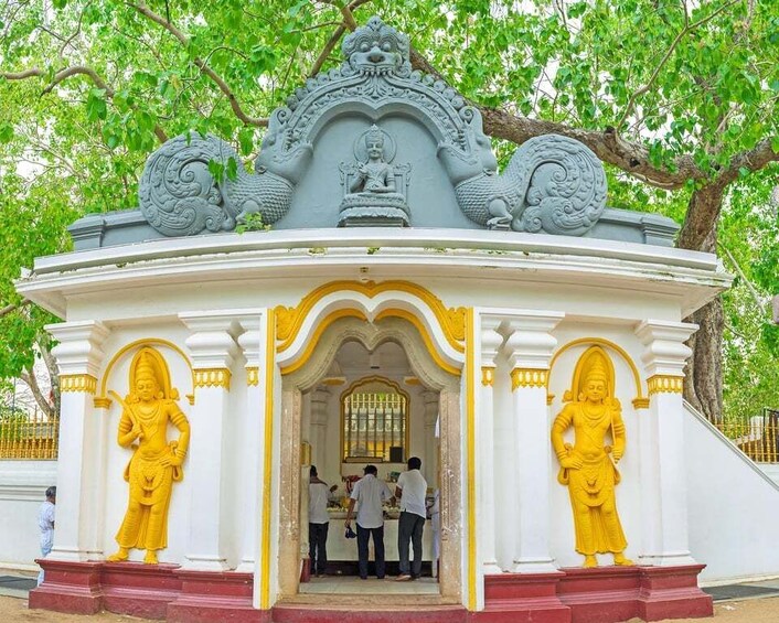 Picture 6 for Activity Day trip to UNESCO city Anuradhapura from Colombo 2