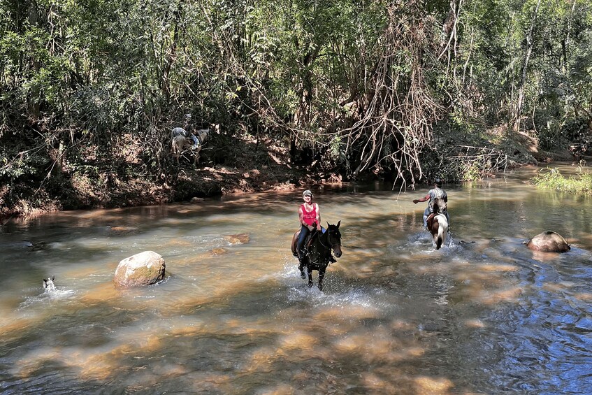 Picture 2 for Activity Paraty: 3-Hour Rainforest Horseback Ride 2