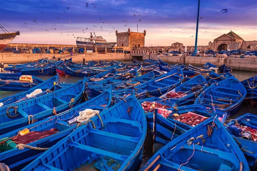 Picture 3 for Activity From Marrakech: Essaouira Day Trip Beach & Coastal Port Tour 4