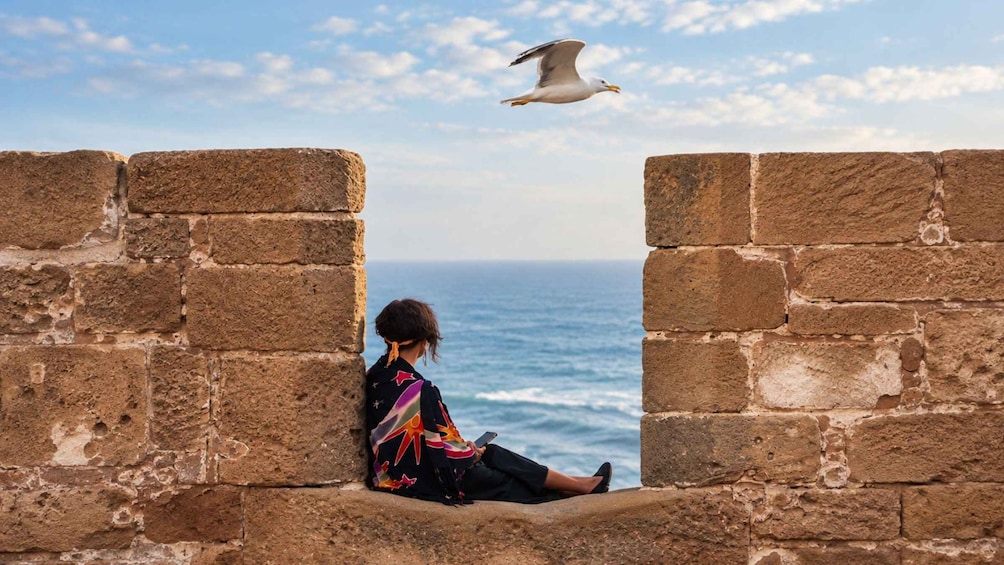 Picture 2 for Activity From Marrakech: Essaouira Day Trip Beach & Coastal Port Tour 5