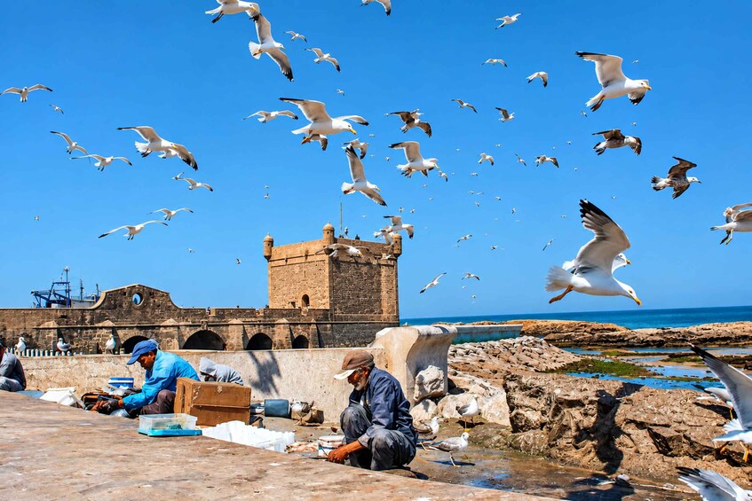 Picture 2 for Activity From Marrakech: Essaouira Day Trip Beach & Coastal Port Tour 5