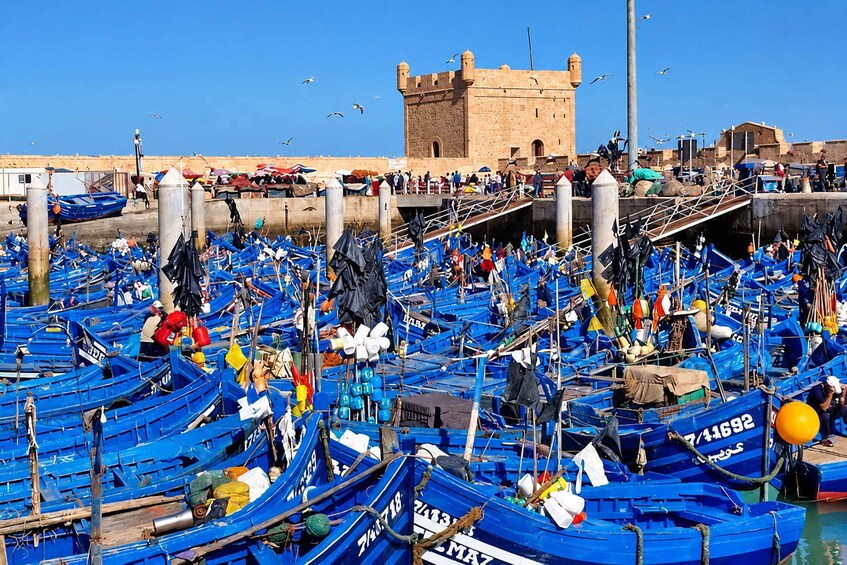 From Marrakech: Essaouira Day Trip Beach & Coastal Port Tour 1