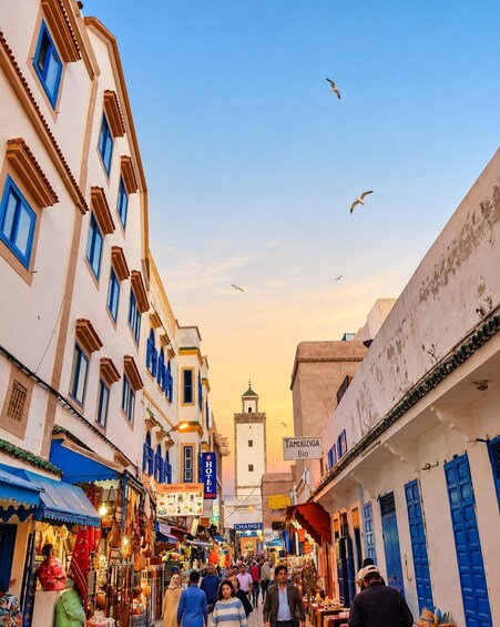 Picture 6 for Activity From Marrakech: Essaouira Day Trip Beach & Coastal Port Tour 3