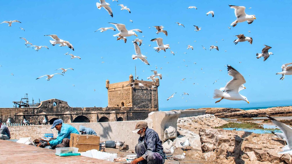 Picture 4 for Activity From Marrakech: Essaouira Day Trip Beach & Coastal Port Tour 1
