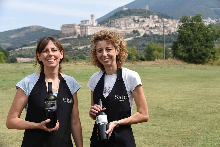 Lunch and tasting 5 wines + walk in the panoramic vineyards 1