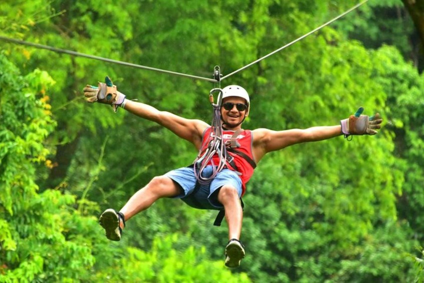 A person ziplining through a forest. 1