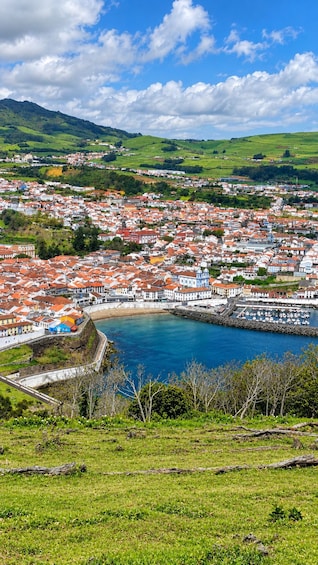 A coastal town with red-roofed buildings, a harbor, and green hills in the background. 3