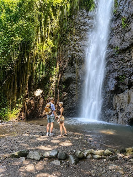 Dark View Falls tour with London Taxi and Tours 4