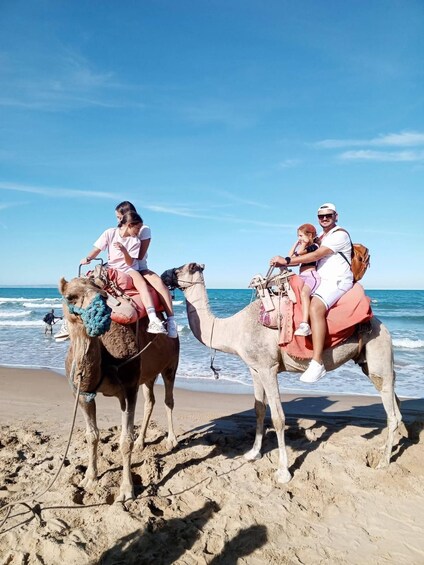Picture 30 for Activity group tours to tanger 4 Heures All Included Camel Ride 3