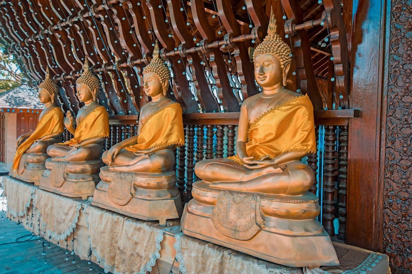 Rivi kultaisia Buddha-patsaita, jotka istuvat meditoimassa puisen kattorakenteen alla. 5