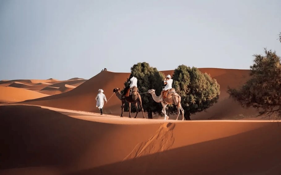 A desert landscape with sand dunes and a camel caravan. 2