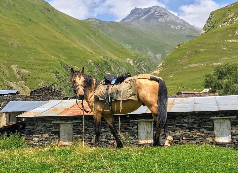 Tusheti Thrill: Limited-Time Mountain Escape 3 day tour 1
