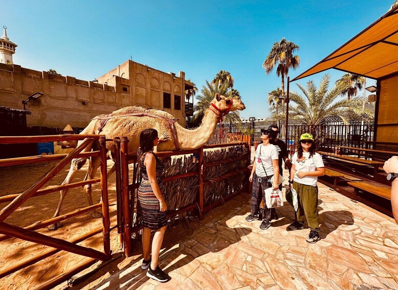 A camel with a rider in a fenced enclosure, palm trees, and a building in the background. 5
