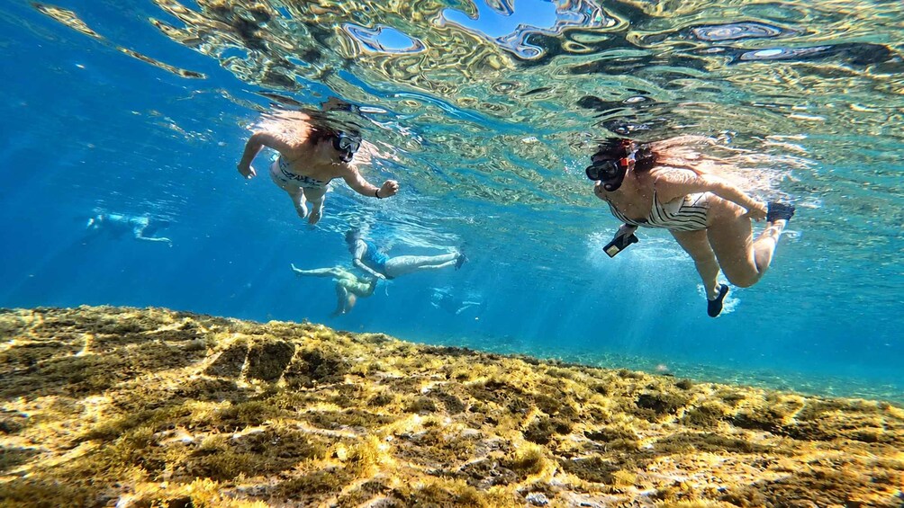 Two snorkelers swimming underwater with marine life and seaweed visible. 5
