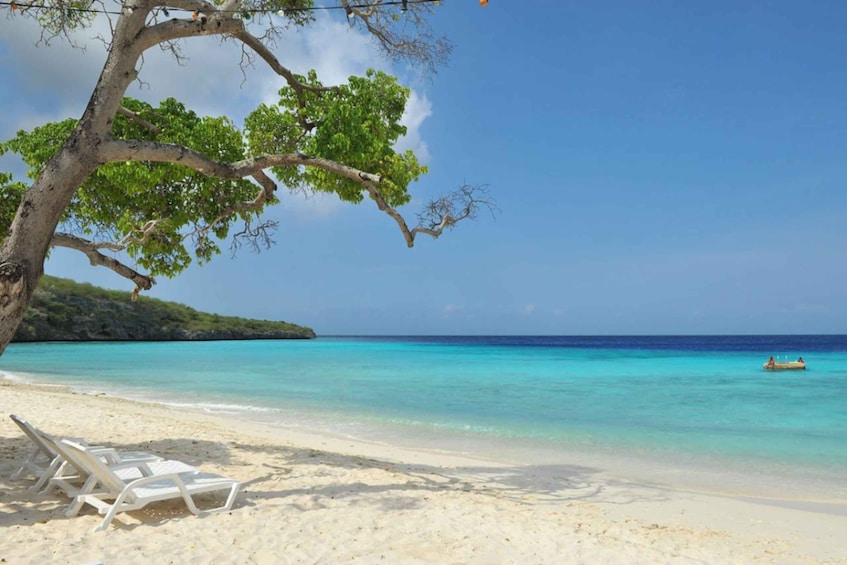 Ein Strand mit weißen Liegestühlen, türkisblauem Wasser und einem Baum. 5