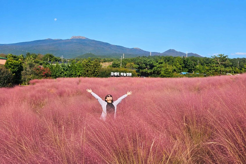 Picture 3 for Activity Jeju: South UNESCO Heritage & Mt Halla Hiking 5