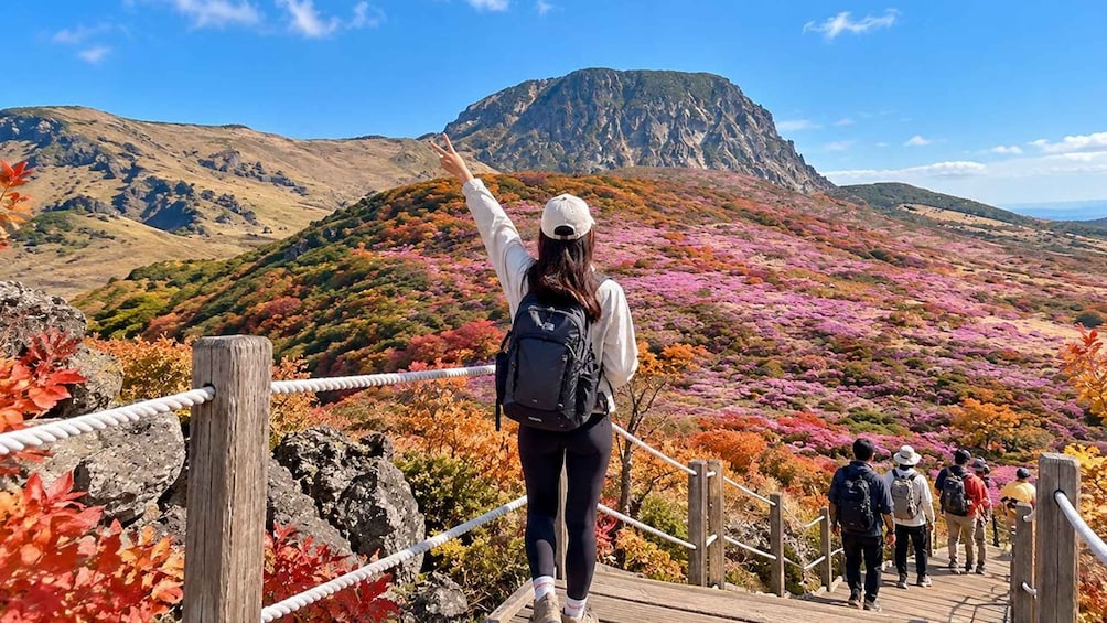 Jeju: South UNESCO Heritage & Mt Halla Hiking 1