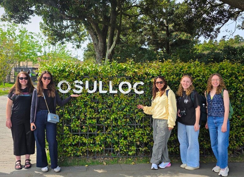 Picture 18 for Activity Jeju: South UNESCO Heritage & Mt Halla Hiking 4