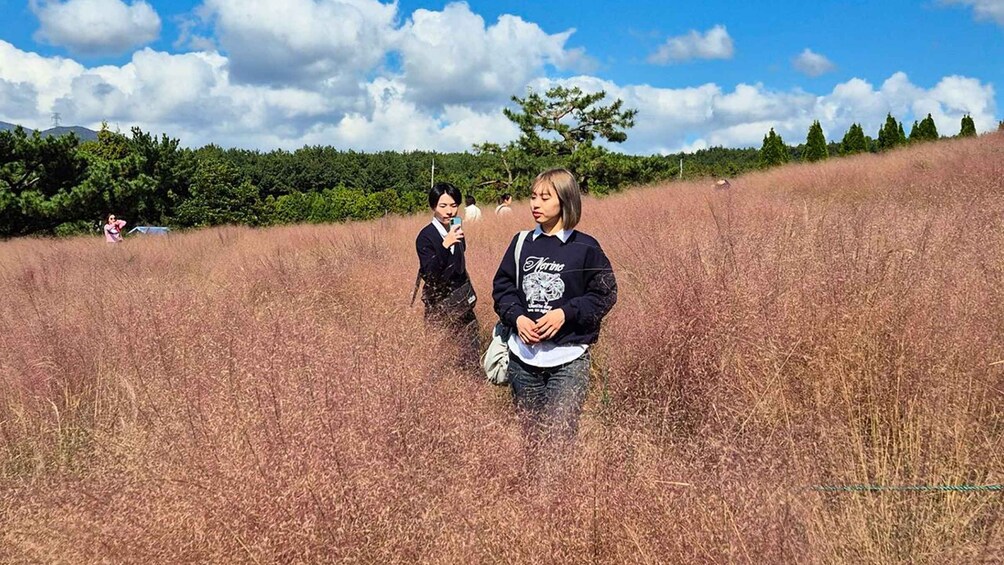 Picture 7 for Activity Jeju: South UNESCO Heritage & Mt Halla Hiking 2