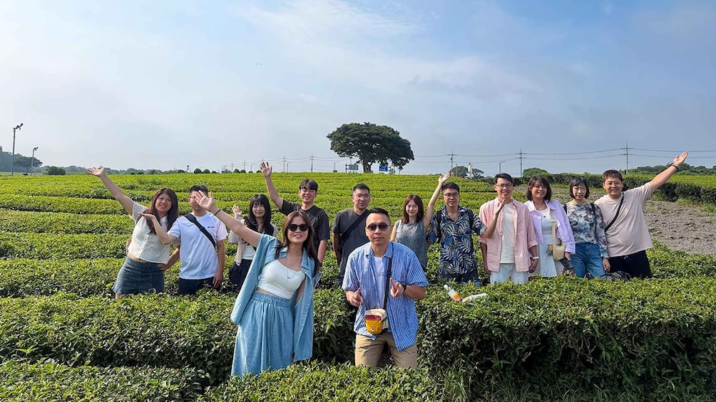 Picture 17 for Activity Jeju: South UNESCO Heritage & Mt Halla Hiking 3
