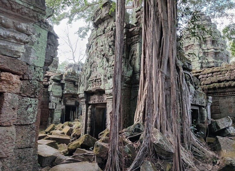 Ancient stone architecture with overgrown roots. 4
