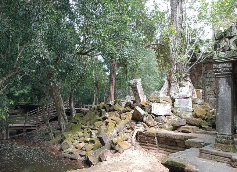A forested area with ancient stone ruins, including a collapsed structure and a stone staircase. 3