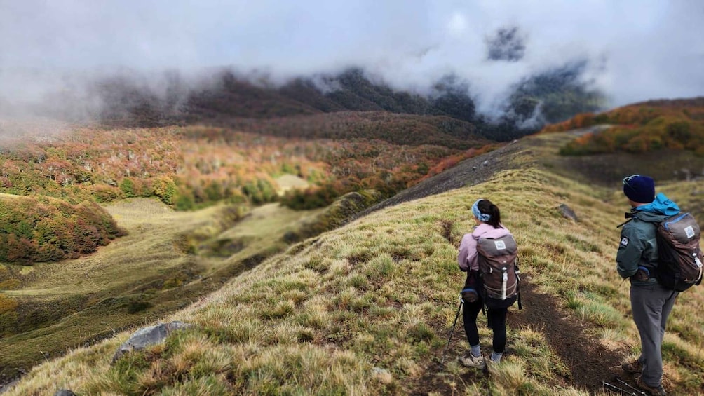 Dos excursionistas en un sendero cubierto de hierba, con follaje otoñal y colinas brumosas al fondo. 4