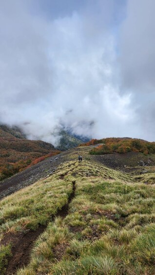 Un paisaje montañoso con un sendero que asciende por la ladera, rodeado de hierba y arbustos. 3