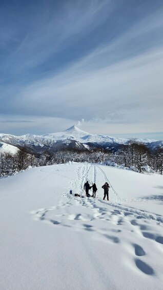 Picture 5 for Activity Pucon: Quetrupillan Volcano Full-Day Climb 5