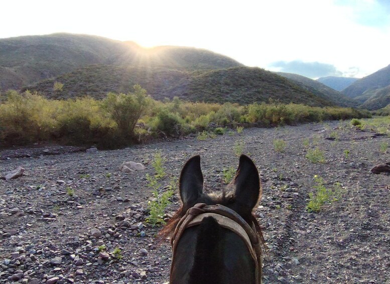 Picture 26 for Activity Mendoza: Horseback Riding in the Andes with Authentic BBQ