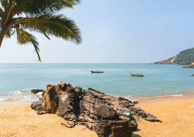 Ein Strand mit einer Palme, Felsen, ruhigem Meer und zwei Booten. 2