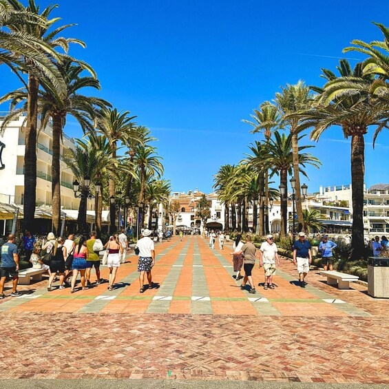 Un paseo bordeado por palmeras y gente caminando. 5