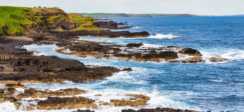 Picture 10 for Activity Phillip Island Driving Tour with an APP 4