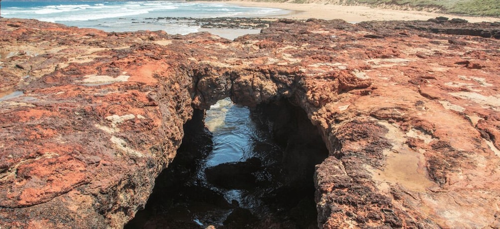 Picture 2 for Activity Phillip Island Driving Tour with an APP 3