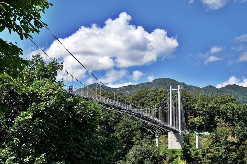 A suspension bridge over a forested valley with mountains in the background. 1