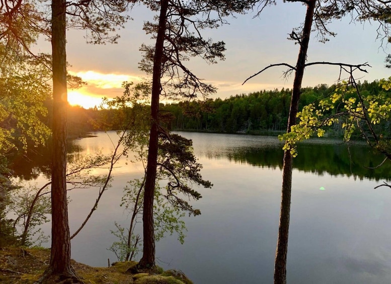 Picture 9 for Activity Stockholm: Sunset Hike in Tyresta National Park with Meal 4