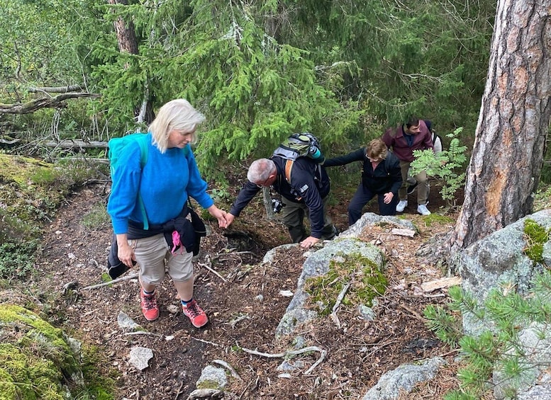 Picture 17 for Activity Stockholm: Sunset Hike in Tyresta National Park with Meal 2