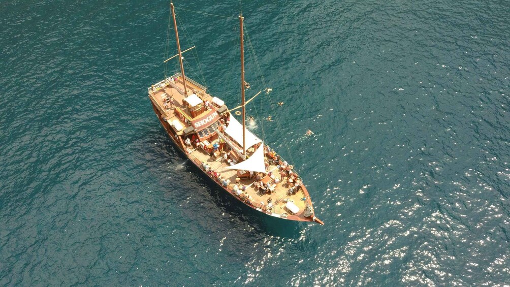 Picture 6 for Activity Tenerife: Whale & Dolphin Watching Cruise with Swim Stop 2