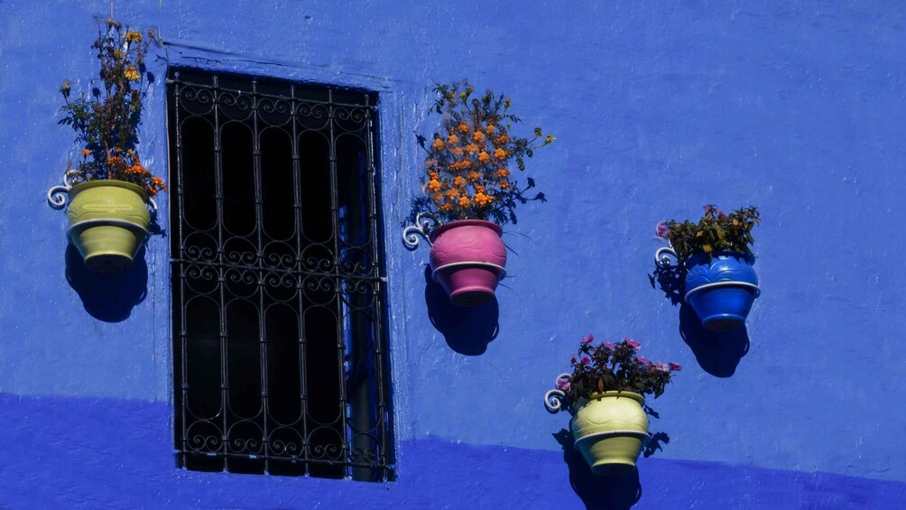 A blue building with a black barred window and colorful hanging flower pots. 1