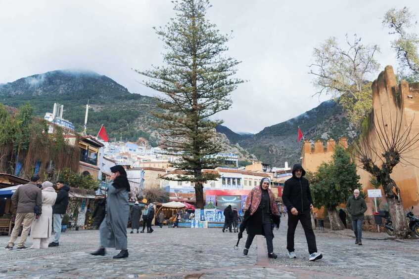 Picture 6 for Activity From Fes: Day Trip to Chefchaouen The Blue Pearl of Morocco 2
