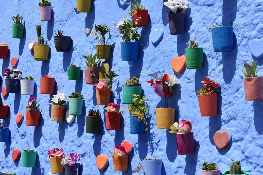 Picture 1 for Activity From Fes: Day Trip to Chefchaouen The Blue Pearl of Morocco 5