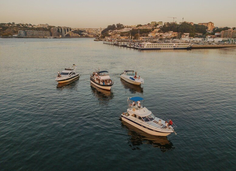 Picture 8 for Activity Porto: 7 Bridges Cruise w/ Porto Wine Tasting 3