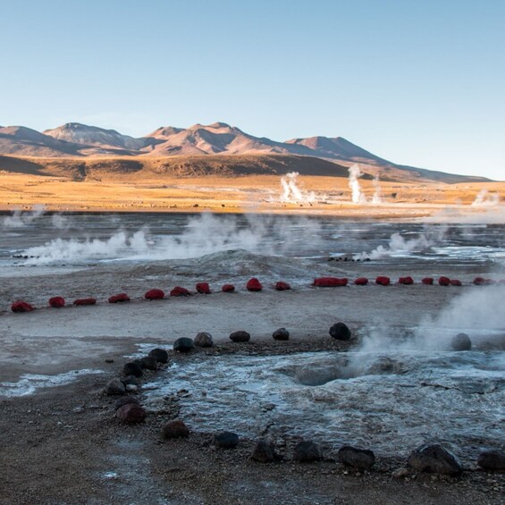 Picture 3 for Activity San Pedro de Atacama: Geysers del Tatio 4