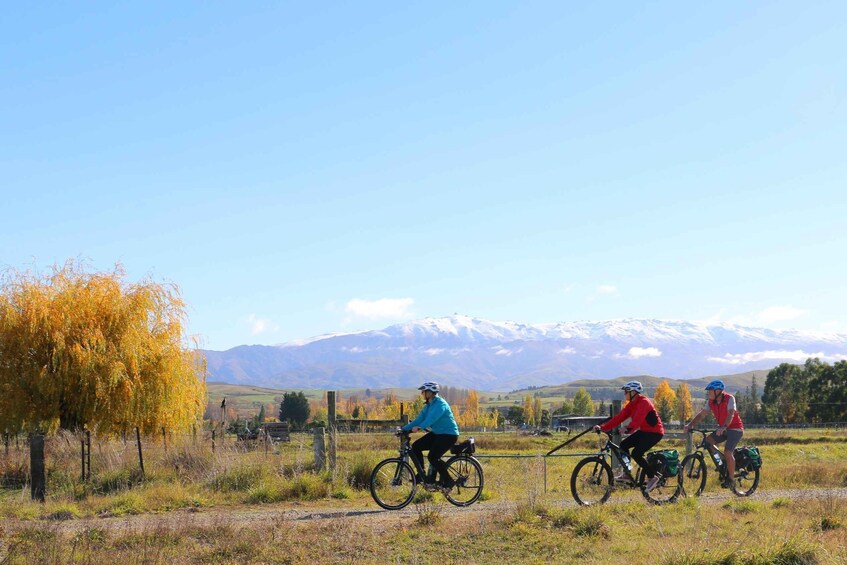 Picture 7 for Activity Otago Central Rail Trail E-Bike Self-Guided Cycling Trail 5