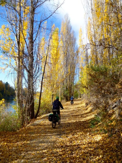 Picture 8 for Activity Otago Central Rail Trail E-Bike Self-Guided Cycling Trail 3