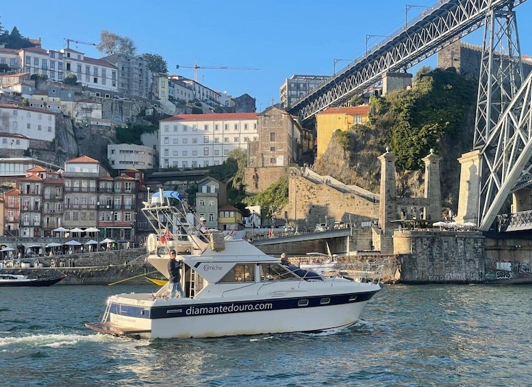 Picture 82 for Activity Porto: 6 Bridges Cruise, With Sunset Option - Small Groups 2